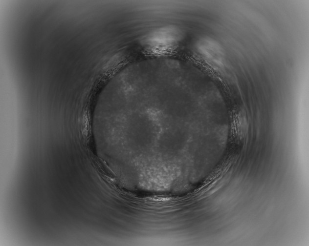 X0000093460651200711091550
