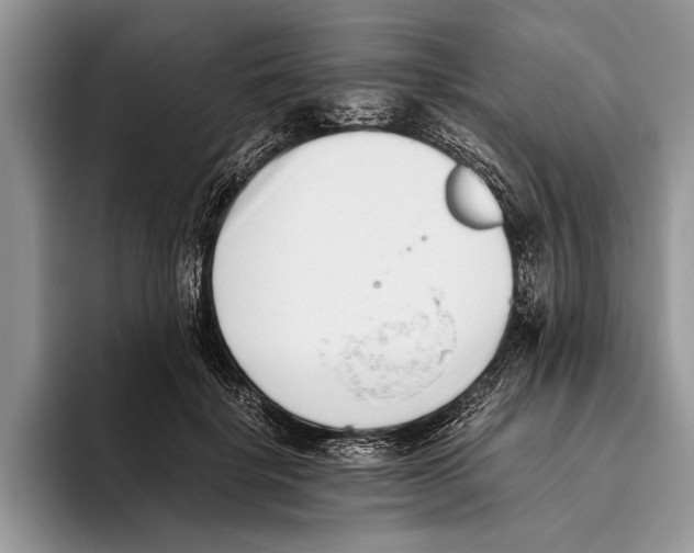 X0000093460652200711091550