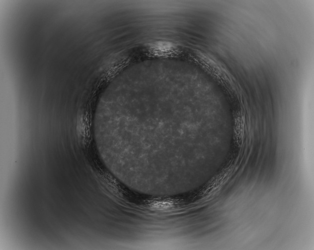 X0000093460653200711091550