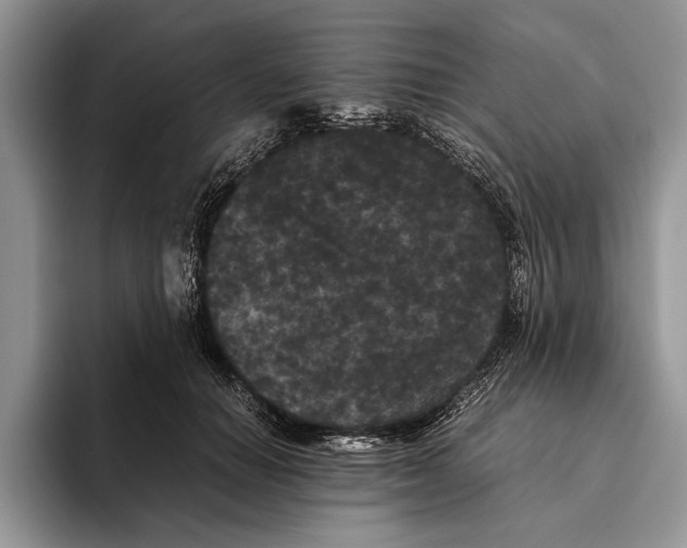 X0000093460654200711091550