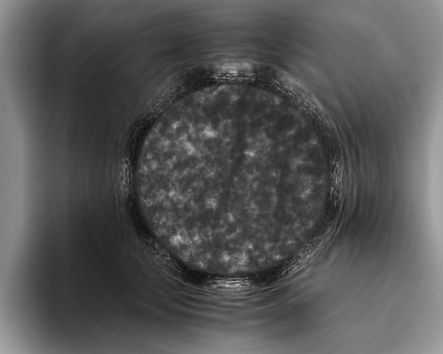 X0000093460659200711091550