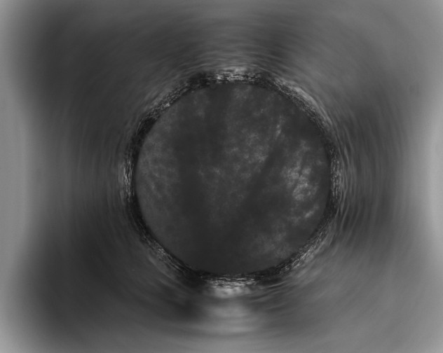 X0000093460661200711091550