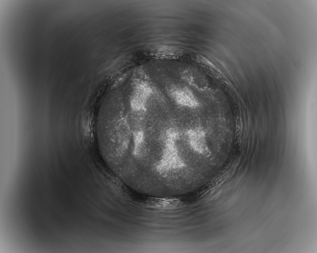 X0000093460663200711091550