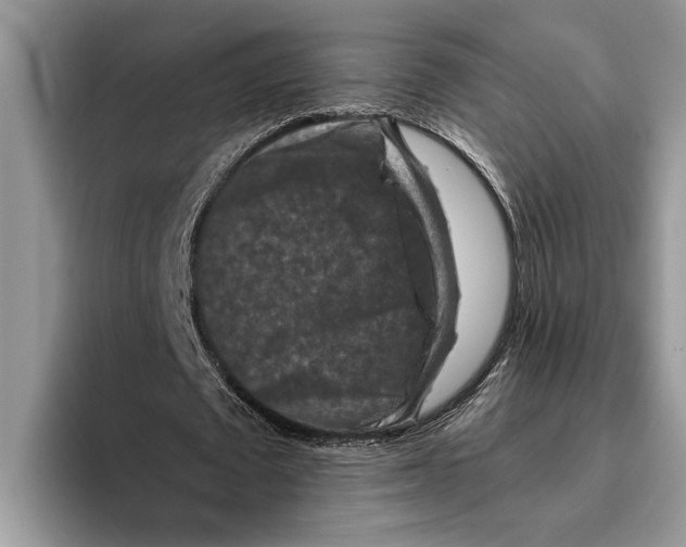 X0000093460673200711091550