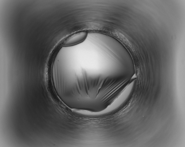 X0000093460676200711091550