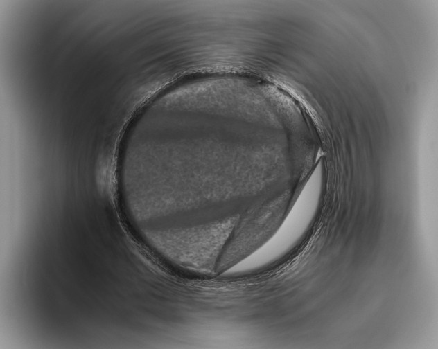 X0000093460677200711091550