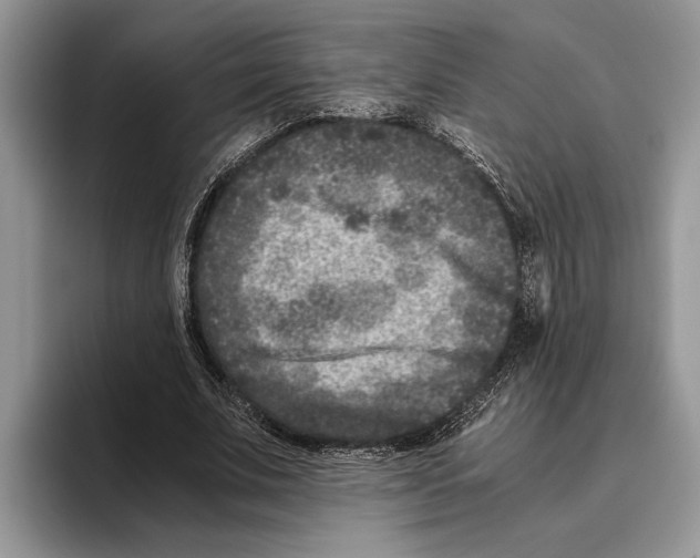 X0000093460679200711091550