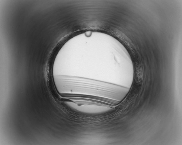 X0000093460680200711091550