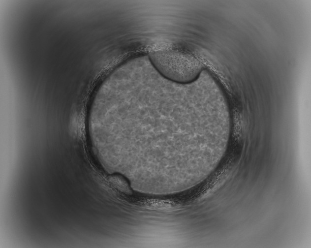 X0000093460681200711091550