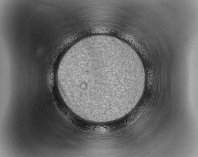 X0000093460683200711091550