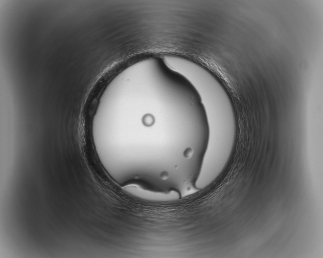 X0000093460684200711091550