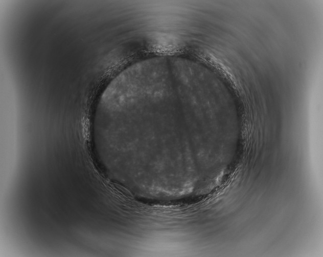 X0000093460689200711091550
