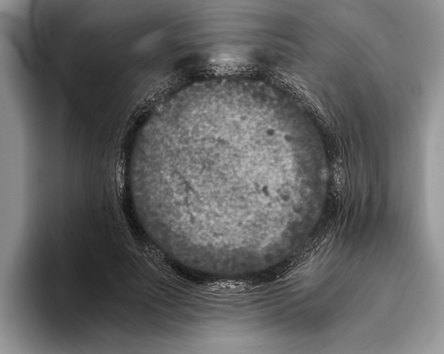 X0000093460691200711091550