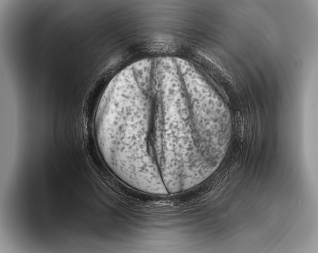 X0000093460692200711091550