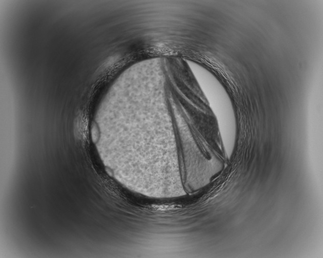 X0000093460693200711091550