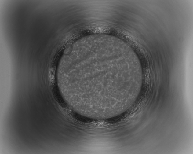 X0000093460695200711091549