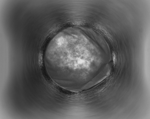 X0000093460696200711091549