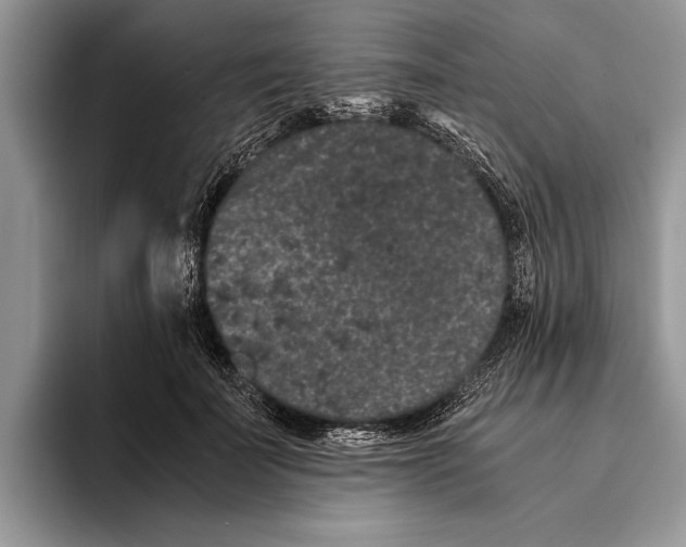 X0000093460699200711091549