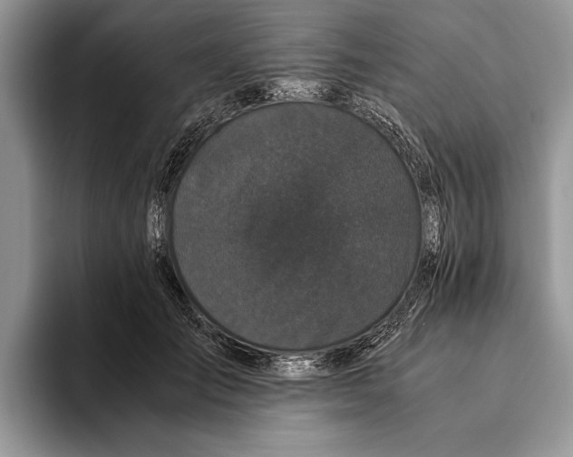 X0000093460701200711091549
