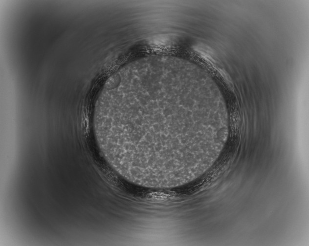 X0000093460703200711091549