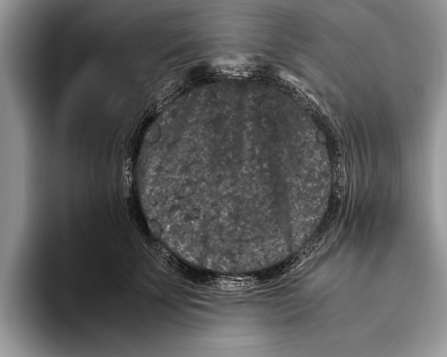 X0000093460707200711091549