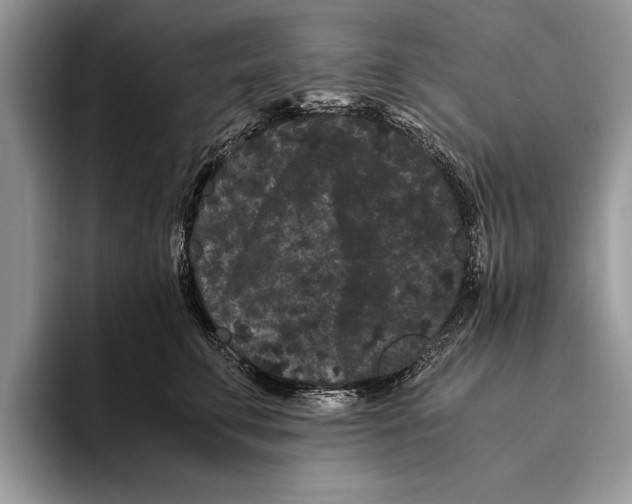 X0000093460711200711091549