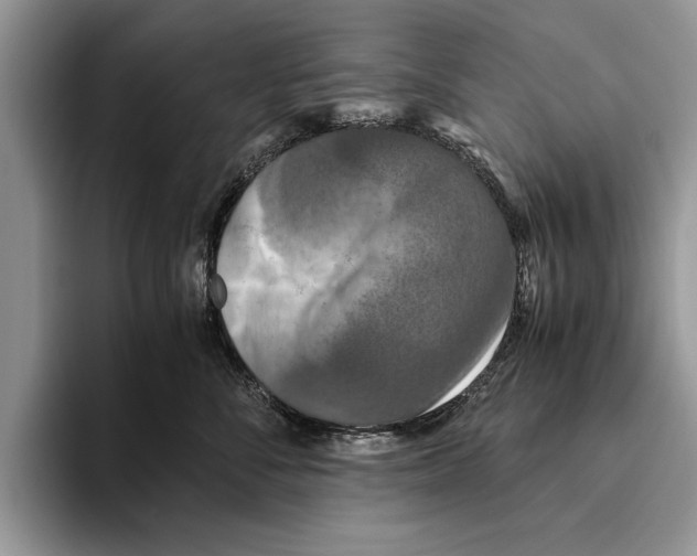 X0000093460716200711091549