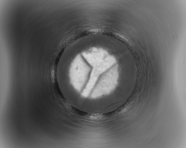 X0000093460720200711091549
