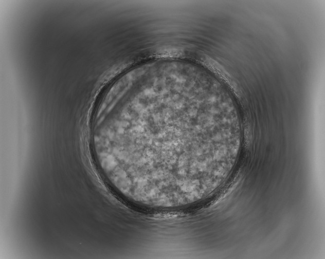 X0000093460721200711091549
