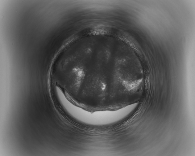 X0000093460722200711091549
