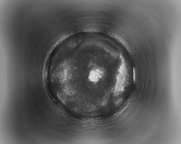 X0000093460723200711091549