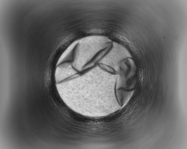 X0000093460735200711091549
