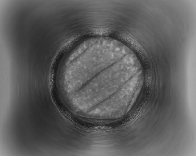 X0000093460736200711091549