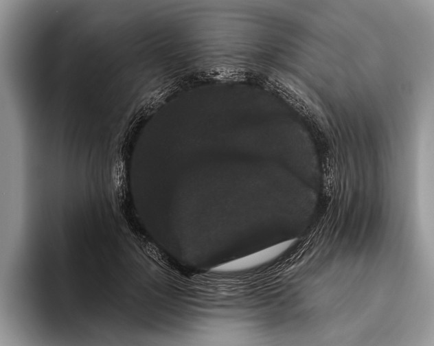 X0000093460748200711091549