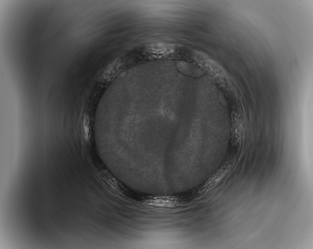 X0000093460758200711091549