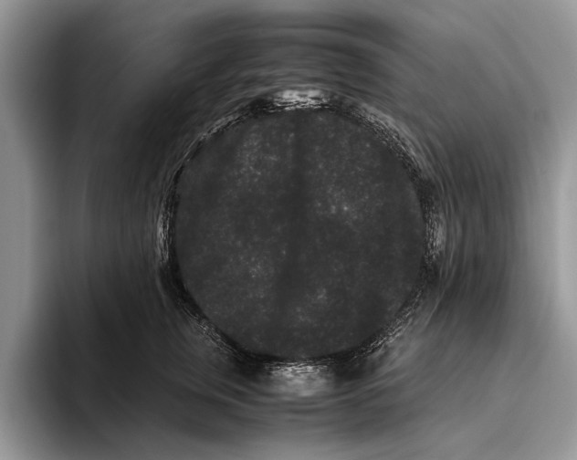 X0000093460759200711091549