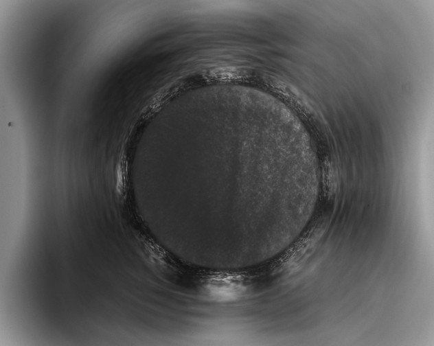 X0000093460760200711091549