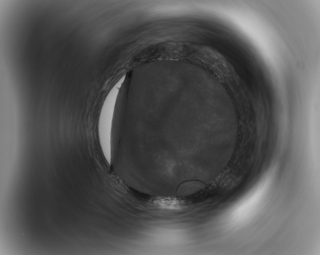 X0000093460767200711091549