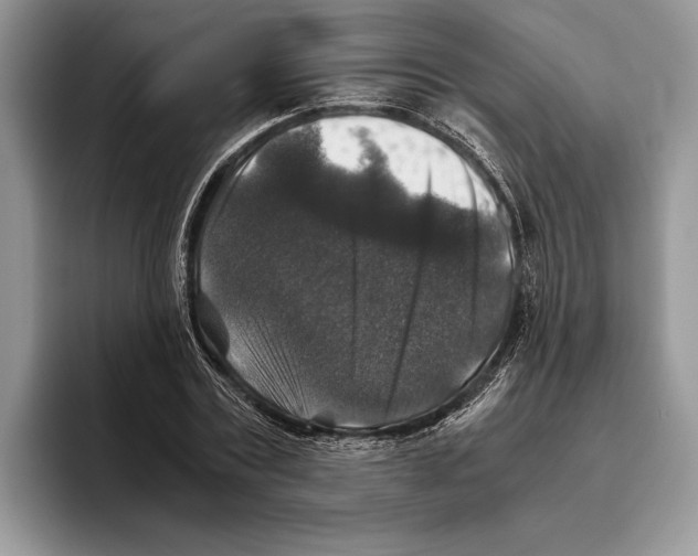 X0000093460779200711091549