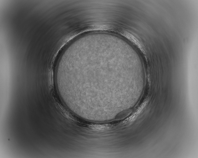 X0000093460781200711091548