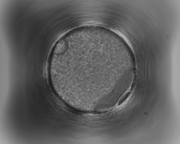X0000093460783200711091548