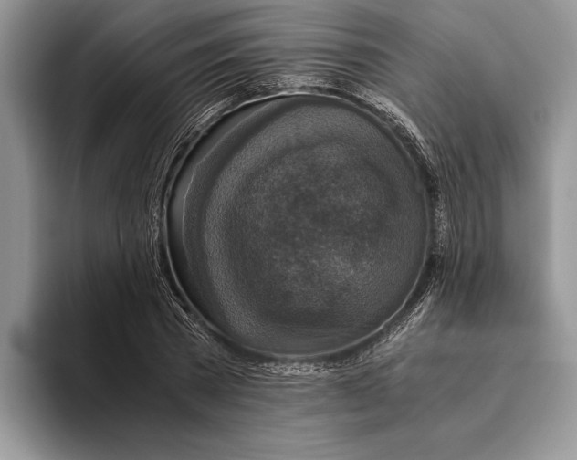 X0000093460785200711091548