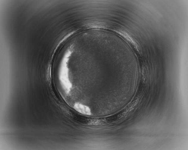 X0000093460790200711091548