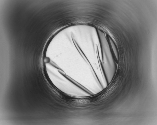 X0000093460795200711091548