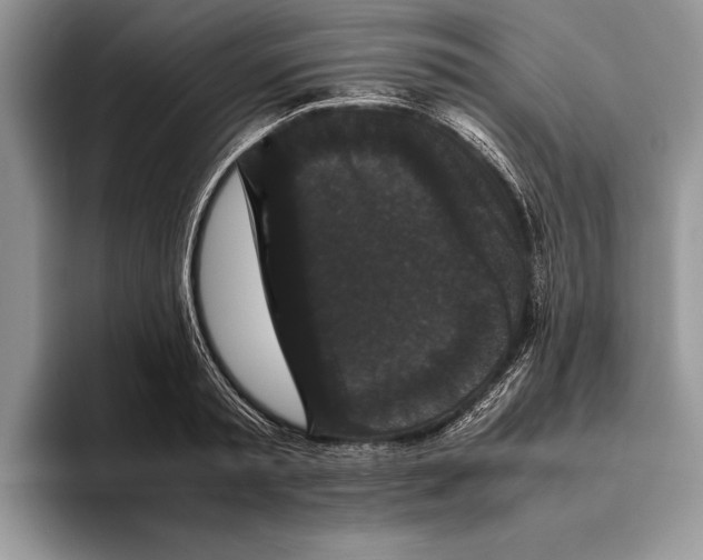 X0000093460797200711091548
