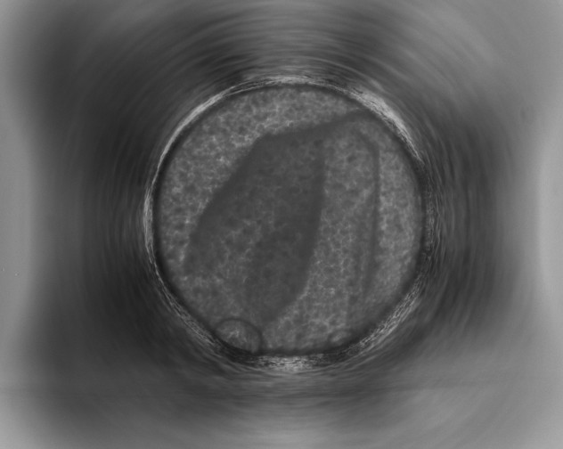 X0000093460798200711091548