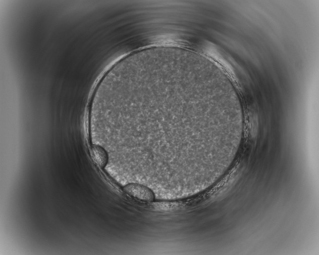 X0000093460804200711091548