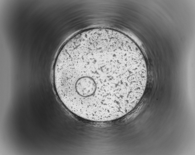 X0000093460807200711091548