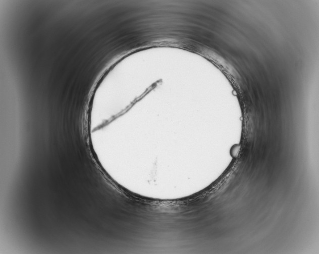 X0000093460808200711091548