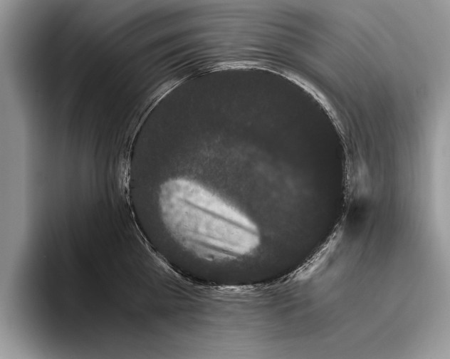 X0000093460809200711091548